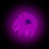 springflower206